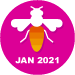 Diligent Solver January 2021