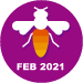 Diligent Solver February 2021