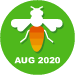 Diligent Solver August 2020
