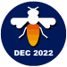 Diligent Solver December 2022