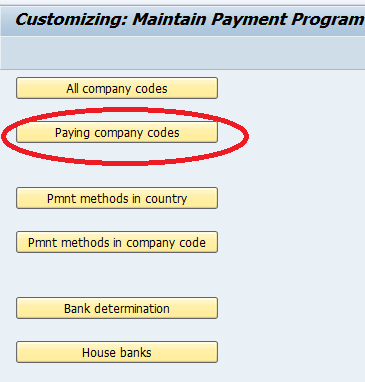 Automatic Payment Program use in General, Installm... - SAP Community
