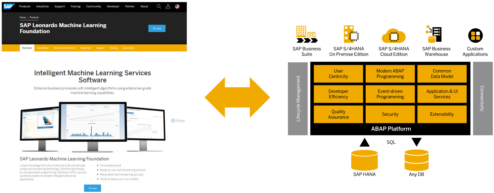 Sap machine hot sale learning foundation