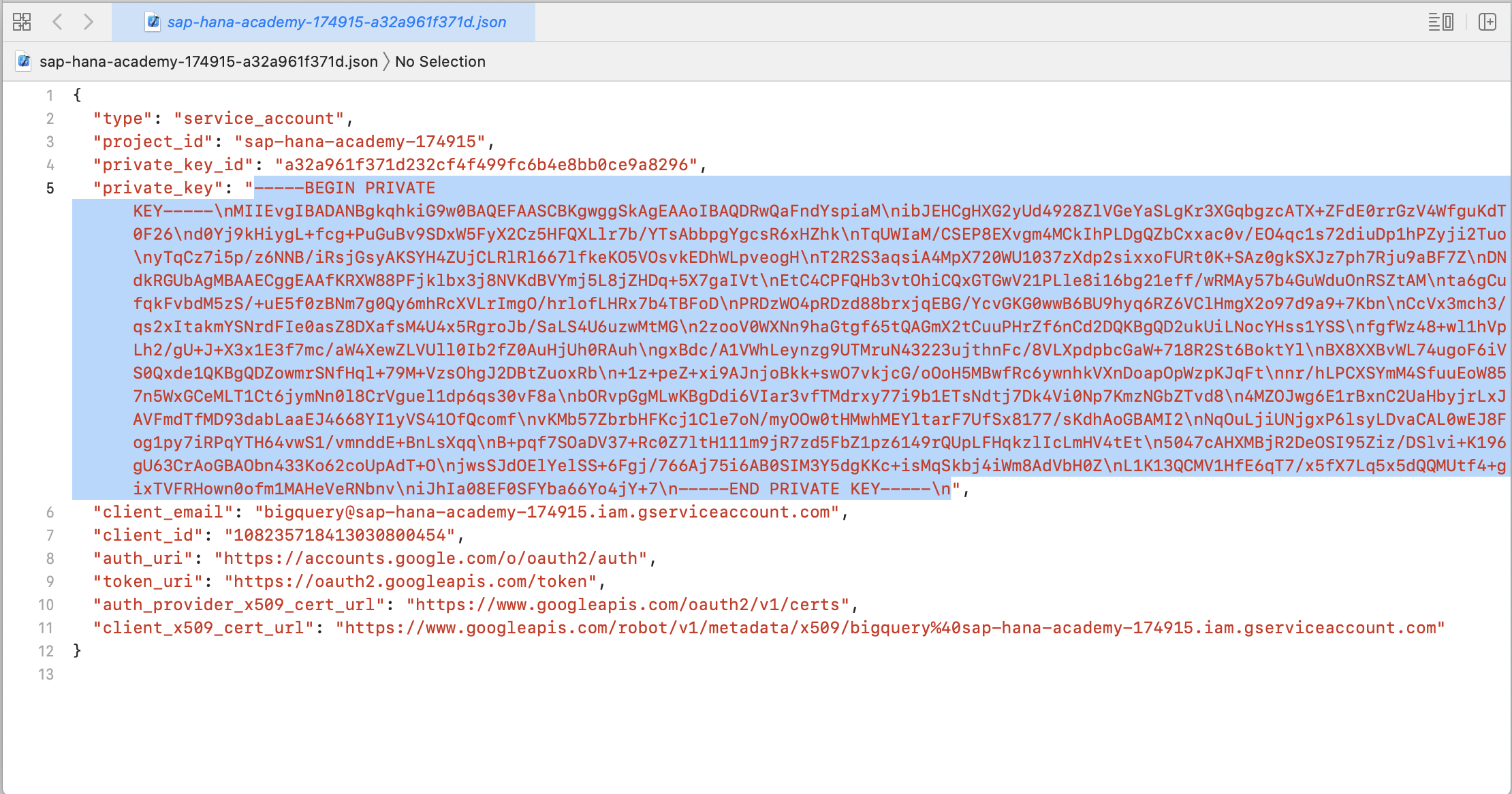 Google BigQuery as Remote Source for SAP HANA Clou... - SAP Community