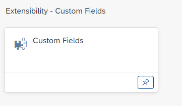 How to export custom fields in the Payment List Fo... - SAP Community