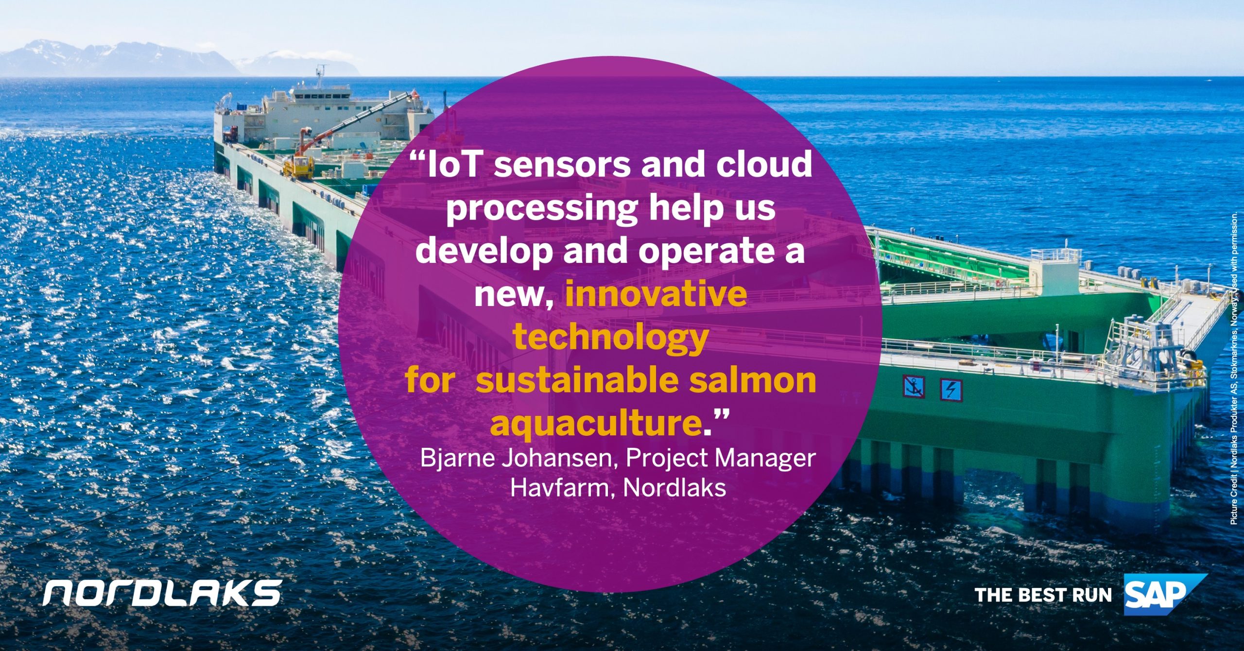 Fishing Tech  Innovative solutions for the fishing industry