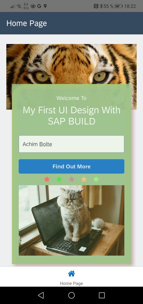 SAP Build Challenge 2 UI Design.jpg