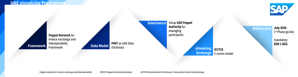 UAE eInvoicing Programme.png
